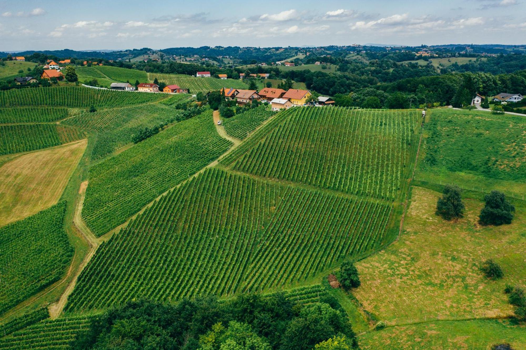 Bed and Breakfast Wine & Tourism Bracko Spodnji Jakobski Dol Zewnętrze zdjęcie