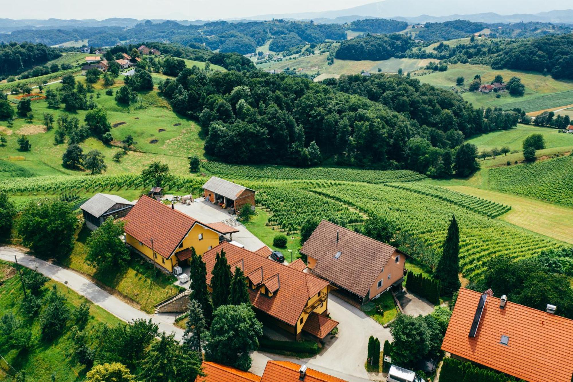 Bed and Breakfast Wine & Tourism Bracko Spodnji Jakobski Dol Zewnętrze zdjęcie